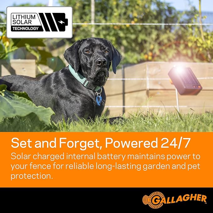 Gallagher S6 Solar Electric Fence Charger | Solar Fence Energizer for Gardens, Chickens, Goats, and Pets | Solar-Powered Fence Charger with Lithium Battery | Mounts Directly to Grounding Rod