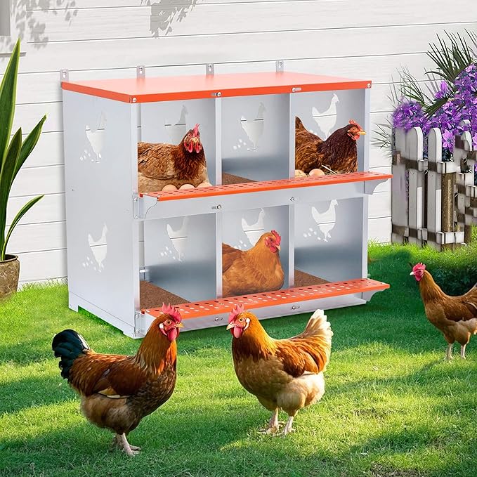 Chicken Nesting Boxes, 6 Rooms Hens Nest Box, Metal Poultry Nest Box Wall Mount for Chickens Egg Laying Box Collection Vented Holes Chicken Coop Cages Equipment, Orange (6 Rooms)