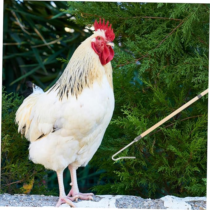 Totority Essential Farm Equipment Poultry Management Tool User-Friendly Chicken Catcher Trap Leg Hook for Catching Chickens Ducks