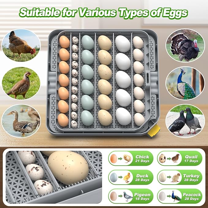 Egg Incubator for Hatching 48-132 Chicken/Quail/Turkey Eggs, 360° View Poultry Incubators with Automatic Egg Turning/Humidity Control&Alarm/Auto Water Adding/Adjustable Tray, for Beginner/Farm/Home