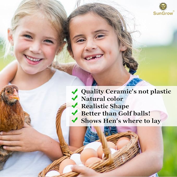 SunGrow Fake Wooden Eggs to Train Birds from Laying in The Nesting Boxes & to Stop from Eating Own Eggs, Brown Color, 2 Pack Suitable for Chicken and Duck