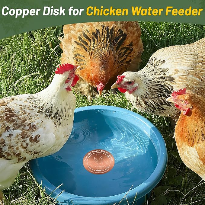 Copper Disk for Chicken Water Feeder|4-inch Diameter,0.6mm Thick|99.99% Pure Copper Disc|Automatic Chicken Waterer Purification Disk with 4 Point Support|Purify Water All Year Round