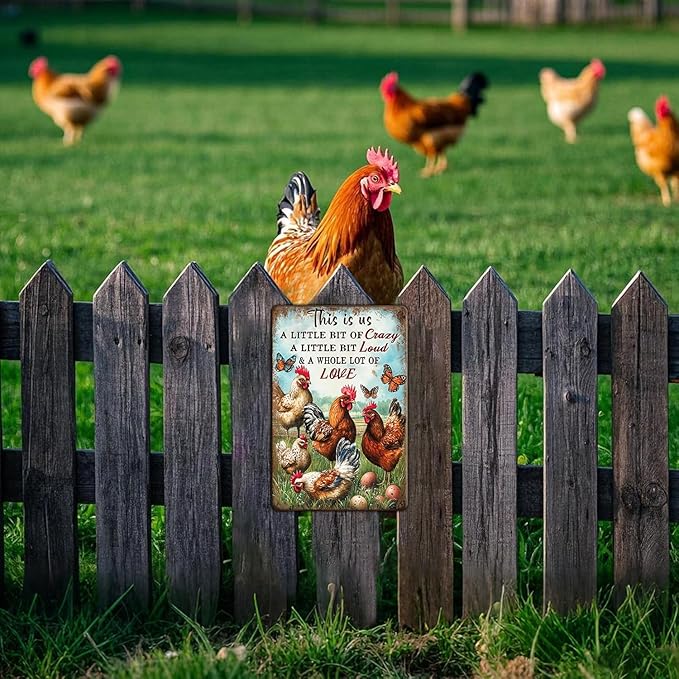 Chicken Metal Sign Chicken Wall Decor This Is Us Wall Decor A Little Bit Of Crazy A Little Bit Loud Chicken Coop Sign Farm Home Garden Yard Poster 12x8 Inch