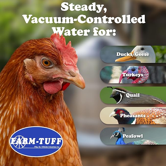 FARM-TUFF Galvanized Poultry Waterer, 5 Gallon Capacity - Double-Wall Poultry Fountain with Cone Top - Automatic Gravity-Fed Water Dispenser for Chickens, Ducks & Game Birds