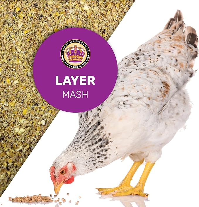 LEACH GRAIN & MILLING CO. Whole Grain Layer Mash 25 lbs - Premium Chicken Feed for Laying Hens, 16% Protein Poultry Feed with Vitamins and Minerals for Egg Production and Daily Nutrition