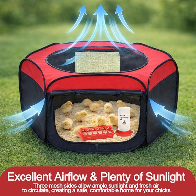 Chicken Brooder Box for Chick Starter Kit - 7 Pcs Chicken Feeder and Waterer Set with 75W Heat Lamp, Perch Stand to 15 Chicks, Duck, Quail