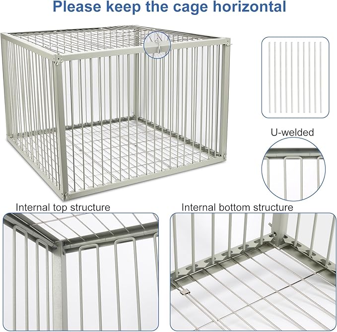 Chicken Trap Cage with Escape-Proof Design – Auto Bird Trap Cage for Chickens and Large Birds | Multi-Catch Pigeons Ducks Traps for Sale with Well Anti-Rust Baking Paint-XL Size