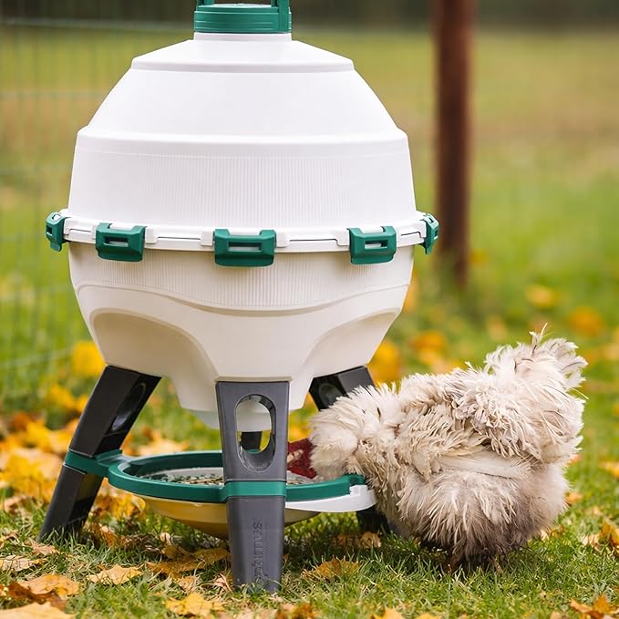 Hatching Time Automatic Poultry Drinker 6 Gallon 22.7 L – Gravity-Fed Chicken Waterer for Coop – UV-Stabilized Plastic Chicken Water Feeder – Easy-Clean, Top-Fill Water Dispenser for Chickens & Ducks