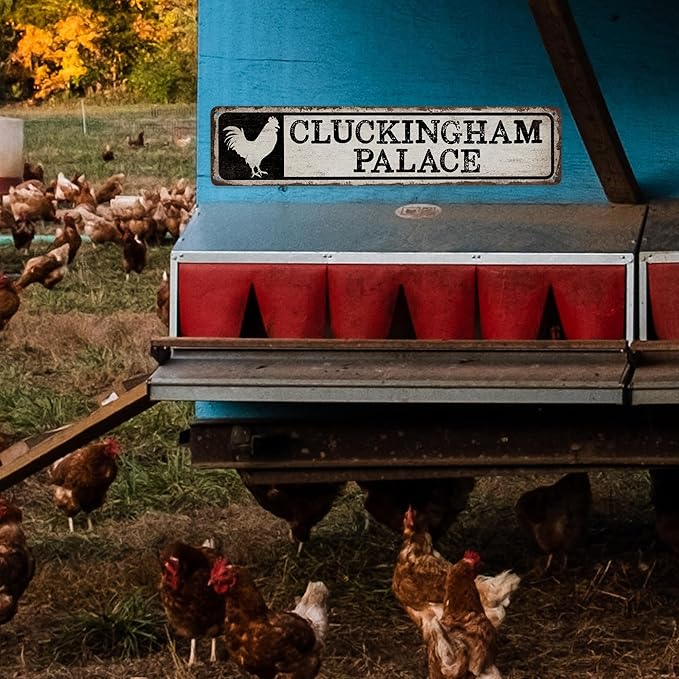 Cluckingham Palace Chicken Coop Sign - Made In USA - Rustic Chicken Décor Rooster Farmhouse Décor Chicken Decoration 104180017010