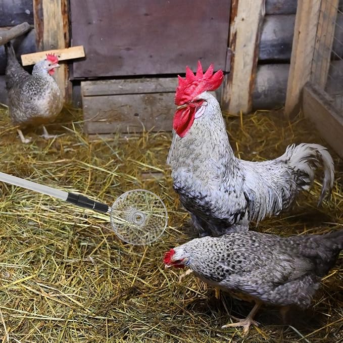 HEMOTON Chicken Egg Grabber: Extendable Egg Picker Tool Stainless Steel Adjustable 17.32" to 29.53" - Extra Long Grabber Reacher with Non-Slip Handle