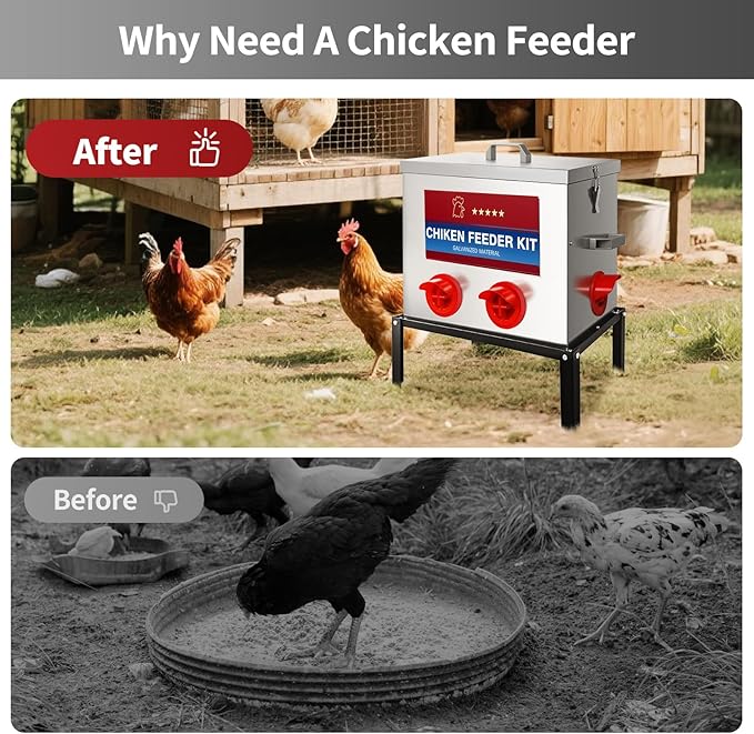 RYFT Chicken Feeder Box 40 Lbs-6 Feeding Port, Galvanized Metal No - Waste Poultry Feeder with Adjustable Legs & Locking Lid