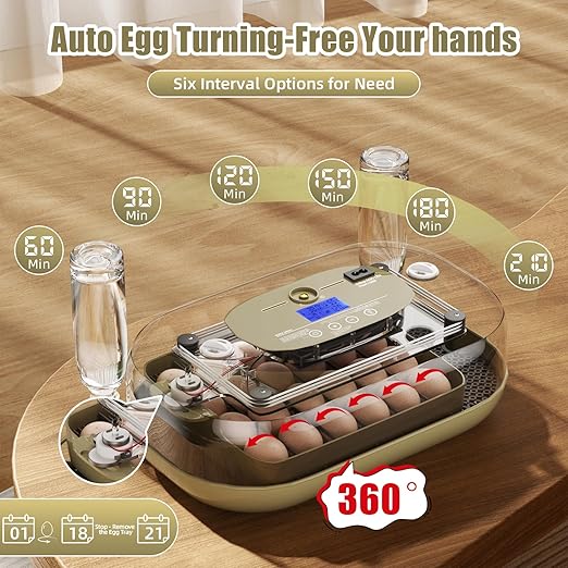 XOTTI Incubator for Hatching Eggs, 24 Egg Incubator with Precise Temperature Control, Auto Egg Turner, 360° Clear View, LED Candler, Alarm for Chicken Duck Quail Goose for Home School Farm Lab