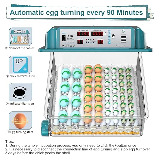 64 Egg Incubators for Hatching Eggs,Incubator with Automatic Egg Turning and Humidity,Chicken Incubator with 5 Automatic Incubate Mode,Poultry Egg Incubator with Incubate Day Counter and Egg Candler