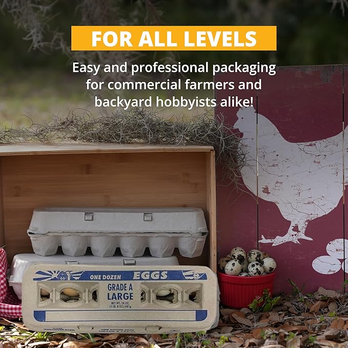 Stromberg's Grade A Large Printed Egg Cartons, Biodegradable and Eco-Friendly, Made From Recycled Materials, With Educational Prints for Safe Handling Instructions and Nutrition Facts, 250 Pack