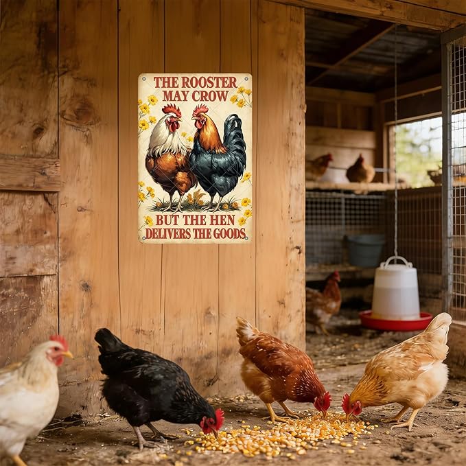 Funny Rooster Signs The Rooster May Crow But The Hen Delivers The Goods Rustic Tin Sign for Home Farm Chicken Coop Decor 16x12 Inch