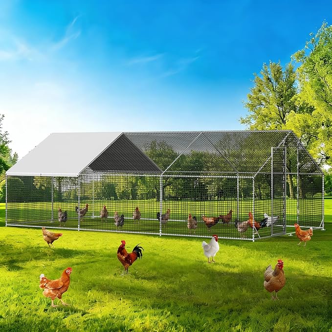 LEVELEVE Large Walk-in Chicken Coop with Chicken Run, Galvanized Poultry Enclosure with Waterproof Anti-UV Cover and Security Lock, Ideal for Rabbit, Duck, Backyard and Farm Yard, 19.7'x 9.8'x 6.6'