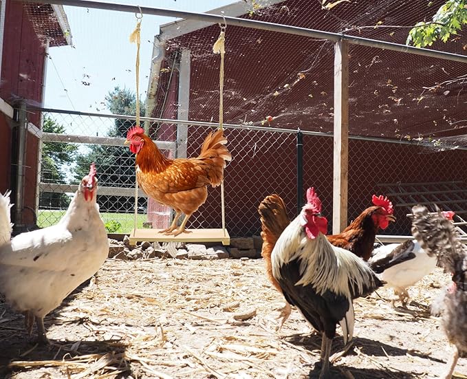 Chicken Swing Toy, Chicken Toy, Wood Chicken Swing Toy, Wood Chicken Swing for Chickens Rooster Poultry Parrots