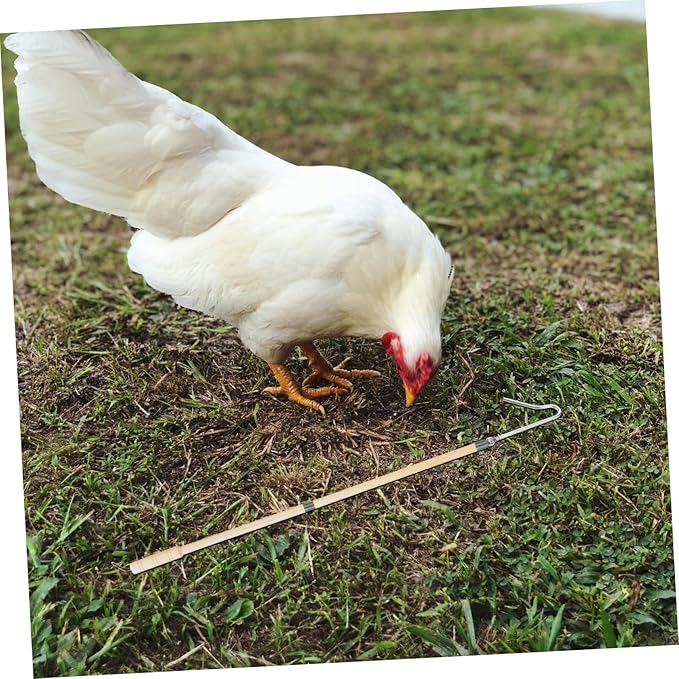 Toyvian Chicken Catcher Tool for Efficient Poultry Management and Easy Use Grabber for Catching Chickens and Geese Essential for Poultry Owners