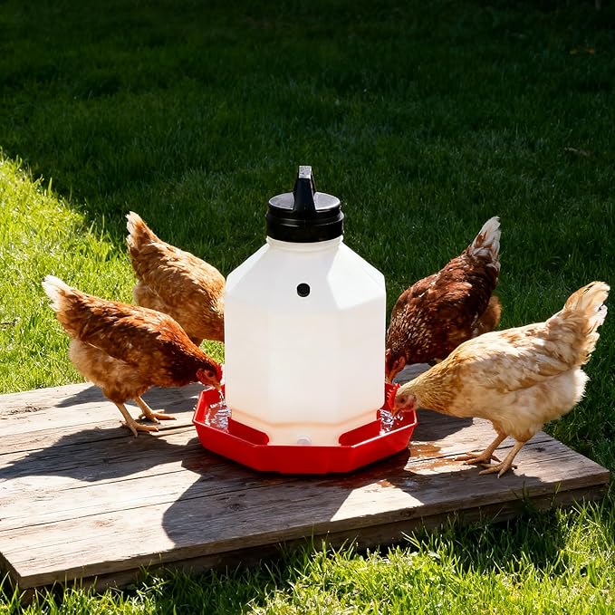 DECOHS 18 Pcs Poultry Fountain Renewal Waterer Parts, Chicken Waterer Replacement Parts Kit, Includes 12 Pcs Replacement Caps and 6 Pcs O Rings for 3/5/7 Gallon Poultry Waterers