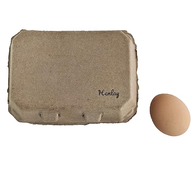 Half Dozen Blank Egg Cartons – Flat Top Half-Dozen Holder, Recyclable Pulp, Ideal for Farm-Fresh Eggs, DIY Custom Labeling, Eco-Friendly Storage - 100 Pack