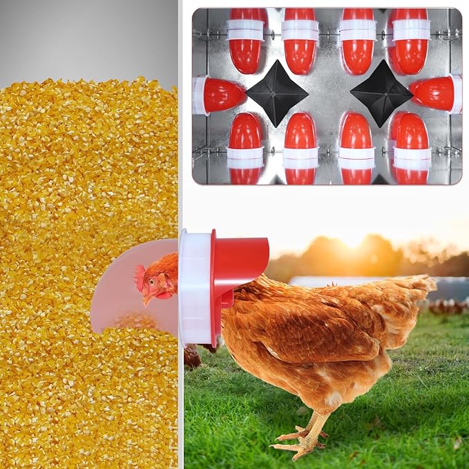 Metal Chicken Feeder 85 lbs Capacity, Galvanized Chicken Feeder with 10 Ports, Waterproof Automatic Poultry Feeder Suitable for Geese, Ducks, Turkeys, Quails