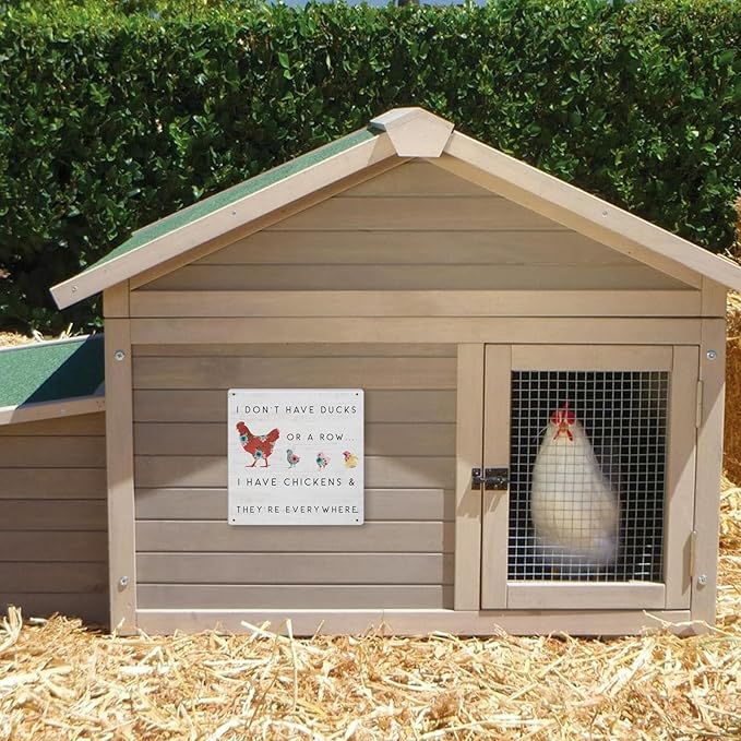 Funny Chicken Coop Decor Outdoor Farmhouse Decor Chicken Lady Gifts For Garden Home Kitchen 8×8 Inches Tin Sign