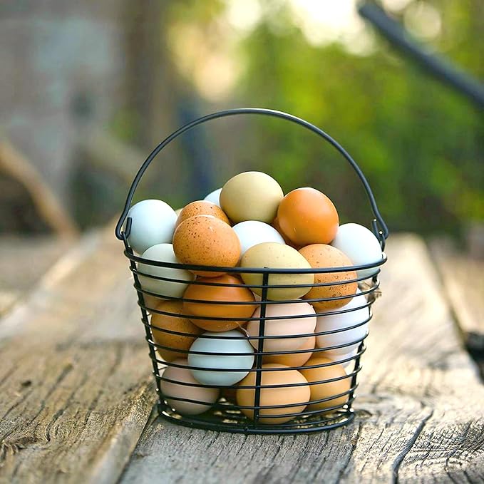 Country Heritage Hen Egg Layer Pellet 10lbs - 16% Protein Chicken Feed for Increased Egg Production & Strong Eggshells, High Protein
