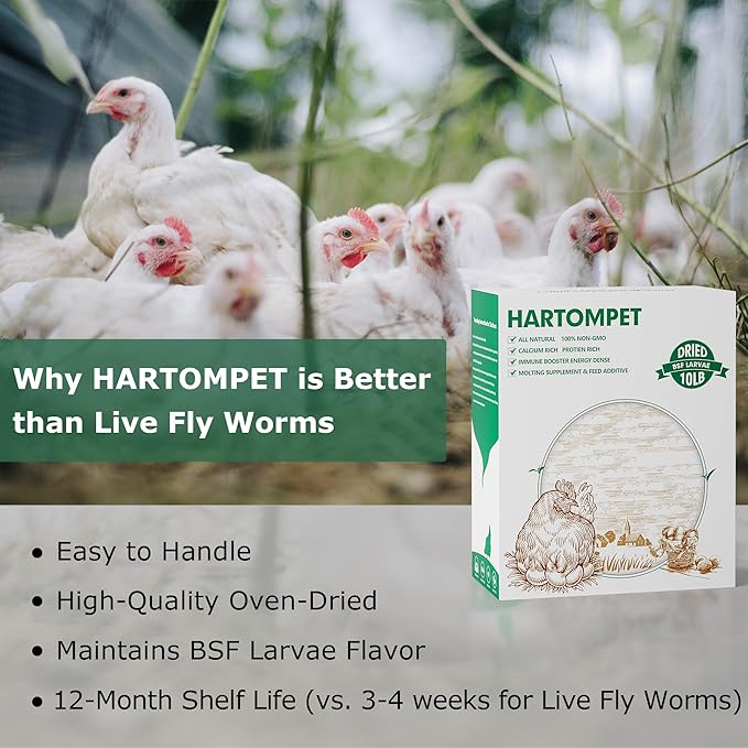 Dried Black Soldier Fly Larvae for Chickens - Non-GMO Poultry Feed Supplement, 85X More Calcium Than Mealworms, 10LB BSF Worms Perfect for Molting & Laying Hens, Ducks & Wild Birds