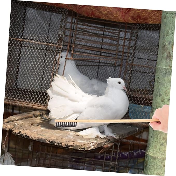 2pcs Bird Cage Cleaning Brush Shovel Set Guinea Pig Bunny Chicken Coop Reptile Cage Accessory Pet Bird Small Animal Garden Cleaning Tool
