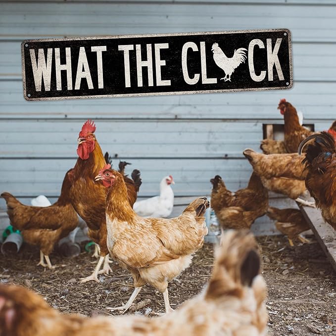 What The Cluck Funny Chicken Décor - Made In USA - Farm House Décor Rustic Chicken Signs Chicken Coop Accessories Country 104180017011