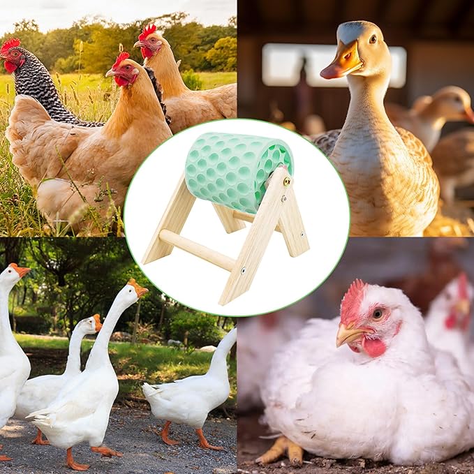 Chicken Coop Accessories, Beak Grinding Calcium Stone with Wooden Stand, Chicken Enrichment Toys, Toys for Hens, Ducks, Geese, Turkeys, Poultry, Green