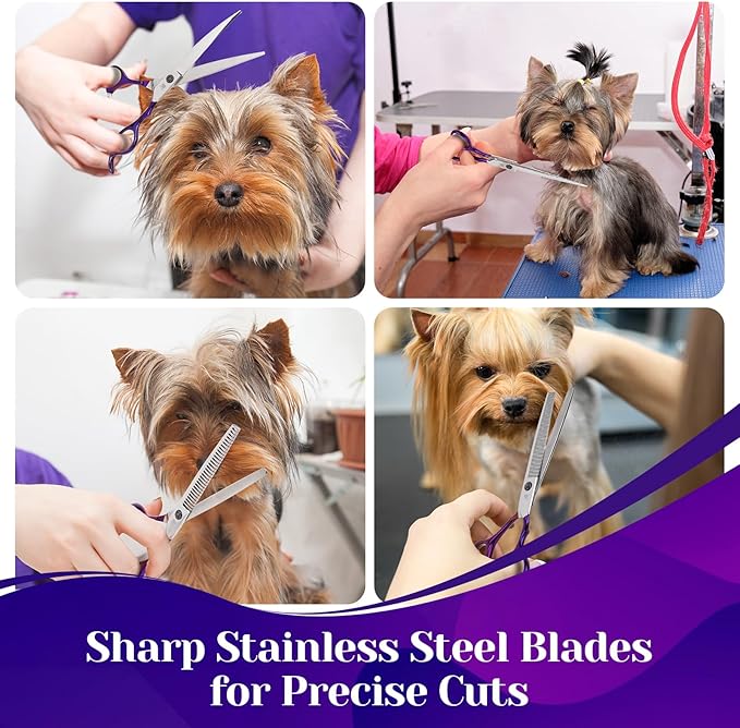 Dog Grooming Scissors Set – 6 in 1 Pet Grooming Kit with Curved, Thinning, Chunker & Straight Shears + Comb – 440C Stainless Steel Sharp Blades, Ergonomic & Quiet Design (Purple)