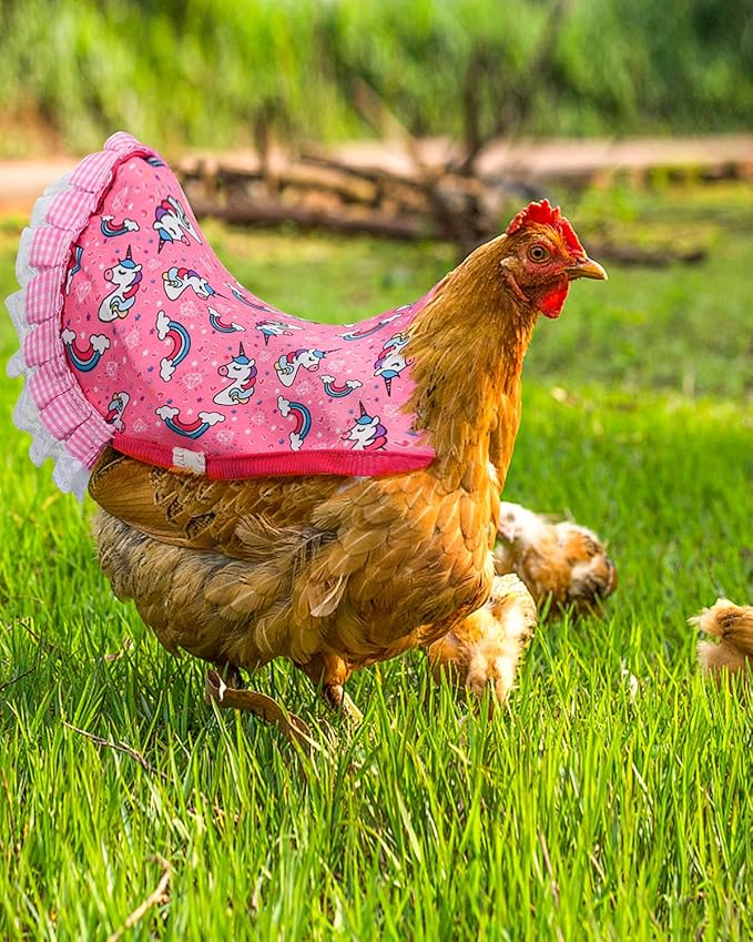 6pcs Hen Saddle Apron，Waterproof Chicken Saddle Hen Apron with Elastic Chicken Jacket Straps Hen Apron Poultry Protector Wing Back Protector Print Feather Protective Jacket(B)