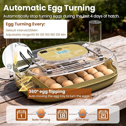 Incubators for Hatching Eggs,24 Eggs Capacity with Automatic Turning, Accurate Temp & Humidity Control, Egg Candler, Air Vent, and 360° Viewing for Chicken, Duck, Quail & Goose Eggs