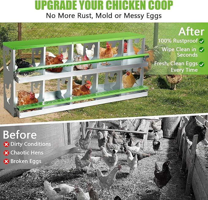 Chicken Nesting Box for Laying Eggs,10 Hole Roll Away Nesting Boxes,Chicken Laying Boxes with Large Vented Holes,Wall-Mountable Chicken Coop Nesting Boxes,Metal Laying Boxes for Hens,Ducks(Green)