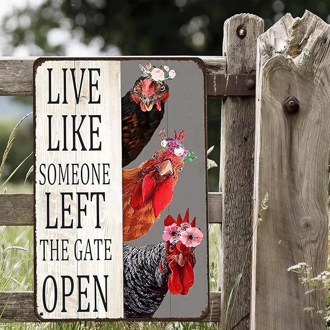 2 Pack Chicken Gifts Vintage Funny Chicken Tin Sign Metal for Home Farm Chicken Coop Outdoor Garden 8 x 12 Inches