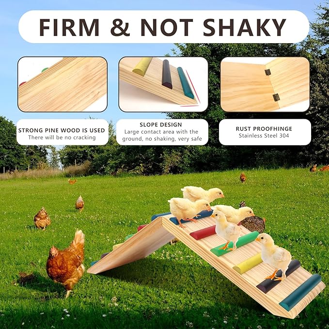 Rainbow Chicken Perch and Ramp Trainer, 2 in 1 Sturdy Wooden Chicken Roosting Bar, Baby Chick Toys for Brooder, Chicken Coop Accessories, for Small Animal, No Assemble