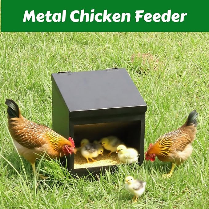 Metal Chicken Feeder,Automatic Chicken Grit and Oyster Shell Feeder Hanging or Ground Food Dispenser with Lid Coop Accessories Outside Suitable for Chickens Ducks Quails
