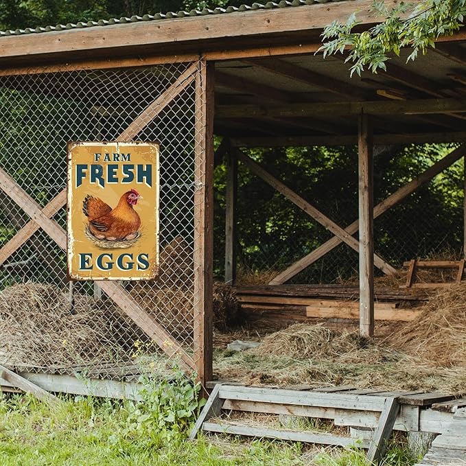 Funny Chicken Sign, Metal Chicken Coop Tin Signs, Farm Fresh Eggs, Yard Sign Garage Farm Garden Wall Decor Sign Plaque Outdoor for Home Fence 8 X 12 Inches