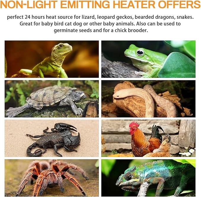 Simple Deluxe 100W 2-Pack Ceramic Heat Lamp Reptile Heat Emitter Heater Lamp Bulb No Light with Free Digital-Thermometer, for Pet Brooder Coop Chicken, Dragon Turtle Lizard Snake Aquarium Tank Black