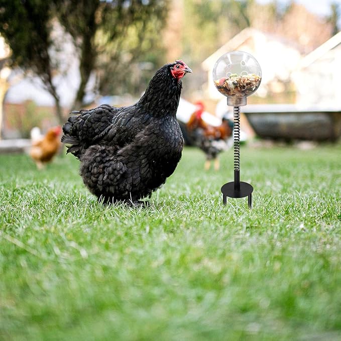 Oooct 2 Pack Chicken Pecking Toys with Swing Feeder, Coop Slow Feeder Toy for Chickens, Chicks, Ducks, Hens, Parrots & Poultry Enrichment