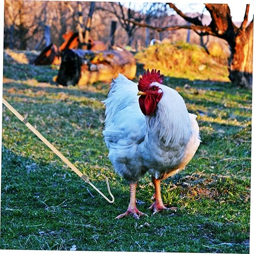 Poultry Catching Tool Heavy Duty Chicken Catcher Hook for Geese Animals Construction for Efficient Farm Animal Safety Focused Equipment