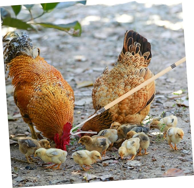 Mipcase Nimal Catching Tool Chicken Catcher Hook Catcher Trap for Farming Needs
