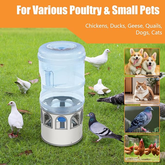 Chicken Water Heater, Heated Water Bowl for Chickens, Chicken Water Heater with 5 Gallon Bucket, All-Season Heated Poultry Waterer for Chickens and Ducks