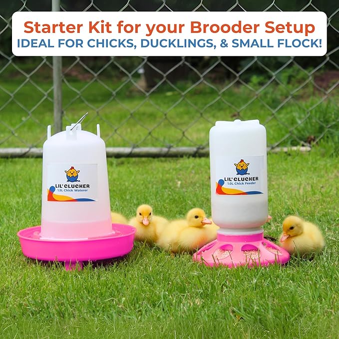 Lil'Clucker 1L Chick Feeder, 1.5L Chicken Waterer - No Leakage Chick Feeder and Waterer Kit, Durable Chicken Water Feeder, Chicken Feeder and Waterer Set, Poultry Waterer (Pink)