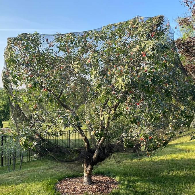 Bird Netting for Chicken Coop 25x50 Ft, 1" Mesh, Strong Woven Poultry Netting Roof Cover for Chicken Run, Heavy Duty Bird Net for Fruit Trees, Blueberry, Vegetables, Garden Protection