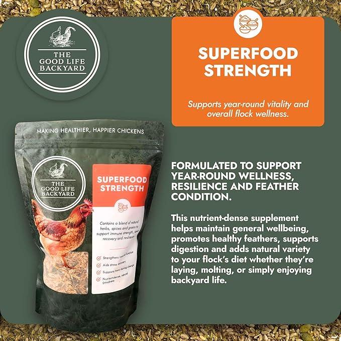 Good Life Backyard Superfood Strength for Chickens – General Wellbeing Nutrient Rich Poultry Supplement (1 lb Pouch) | Hatching Time