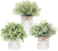 Mkono Fake Plants in Farmhouse Galvanized Metal Pots Table Centerpiece Rustic Home Decor, 3 Pack Potted Artificial Plants Faux Eucalyptus for Shelf Indoor Dining Room Office