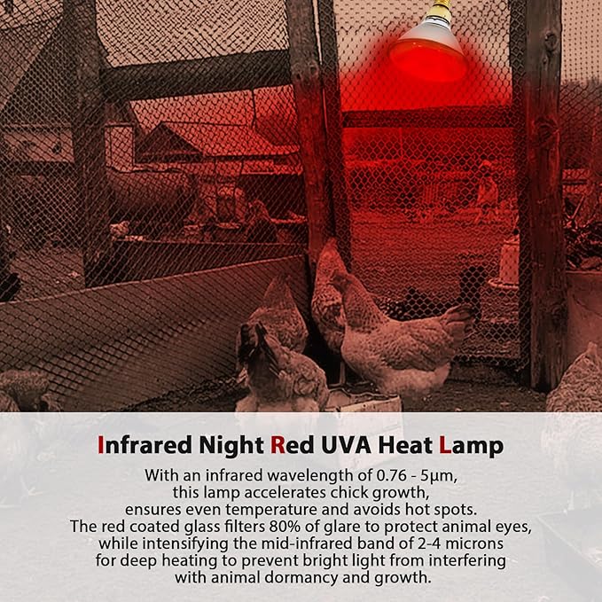 Heat Lamp, 175W Heat lamp Bulbs, PAR38 Infrared Heat lamp, Halogen Heat for Food Service, Brooder Bulb, Chicks, Pet, Bathroom, Light Therapy Use E26 Base, Flood Light Heat Lamp. 2 Pack