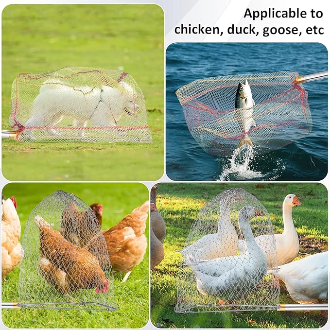 Chicken Catching Net Set – 2 Nets with Adjustable 74 Inch Pole, Lightweight Bird & Animal Catcher for Chickens, Ducks, Geese, Fish, Cats – Heavy-Duty Nylon Net with Stainless Steel Frame